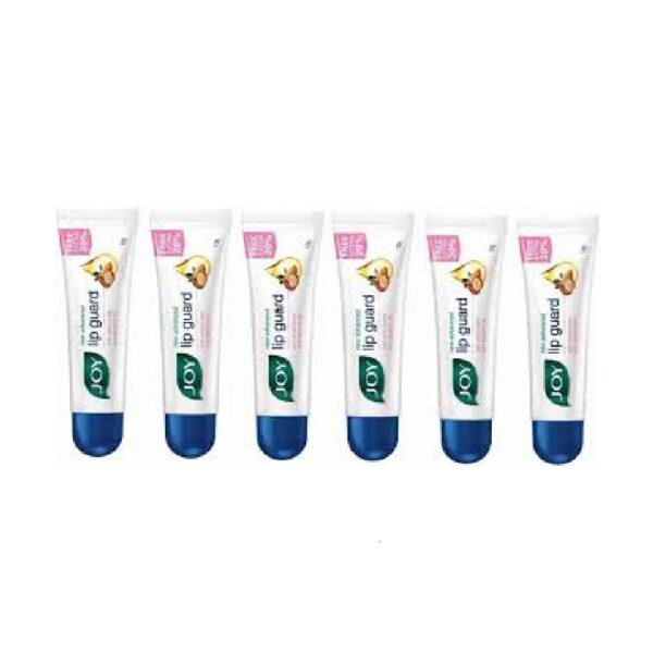 Joy Lip Guard 12gm (Pack of 6)