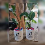 Customised Ceramic Flower Pot